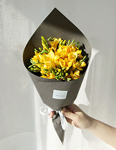 프리지아 미니 블룸