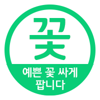 플라워 체험팩