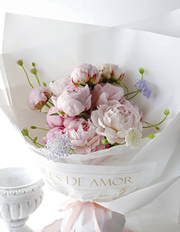 피오니블룸에디션